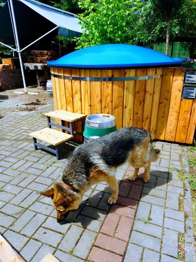Zamkowisko Bed and breakfast *